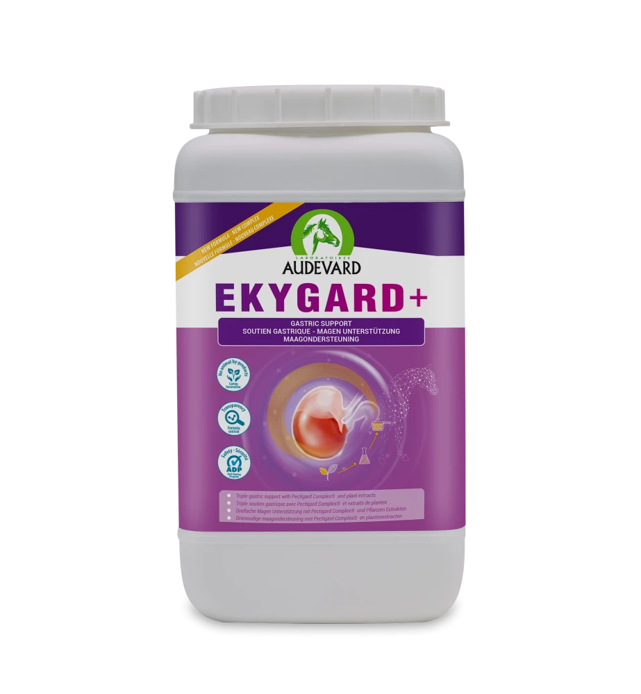 Audevard Ekygard + 1 Audevard Ekygard +