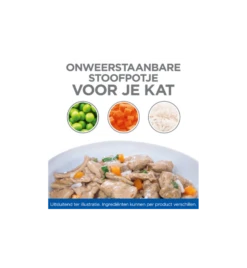 Hill's Science Plan Healthy Cuisine Volwassen Kat Stoofpotje Kip & Zalm - 4 X 12 X 80 Gram -Huisdierproducten hill s science plan healthy cuisine volwassen kat stoofpotje kip zalm 4 x 12 x 80 gram 2