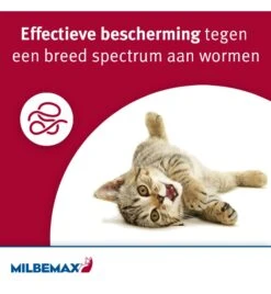 Milbemax Kleine Kat / Kitten -Huisdierproducten milbemax kleine kat kitten 1