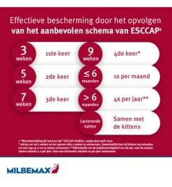 Milbemax Kleine Kat / Kitten -Huisdierproducten milbemax kleine kat kitten 2