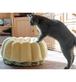 Petlando Ligmand Kat Vienna -Huisdierproducten petlando ligmand kat vienna 1 2