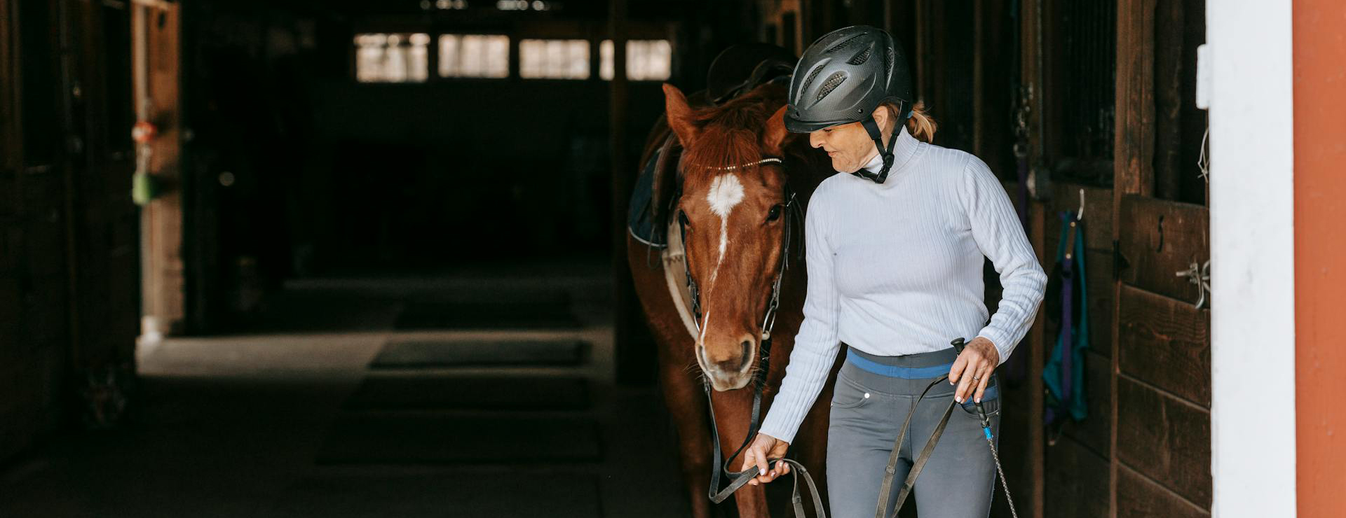 Huisdierproducten -Huisdierproducten pexels barbara olsen 7882944