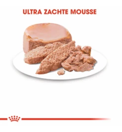 Royal Canin Mother & Babycat Mousse - 12 X 195 Gram -Huisdierproducten royal canin mother babycat mousse 12 x 195 gram 2