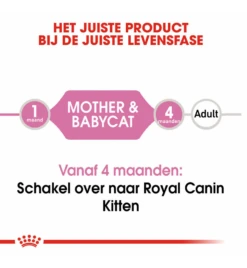 Royal Canin Mother & Babycat Mousse - 12 X 195 Gram -Huisdierproducten royal canin mother babycat mousse 12 x 195 gram 4