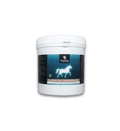 Synovium Clay & Cool