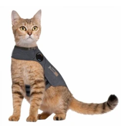 Thundershirt Kat