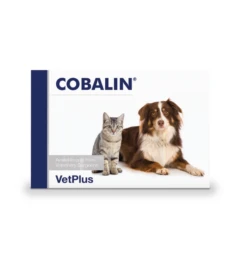 VetPlus Cobalin - 60 Capsules -Huisdierproducten vetplus cobalin 60 capsules 2